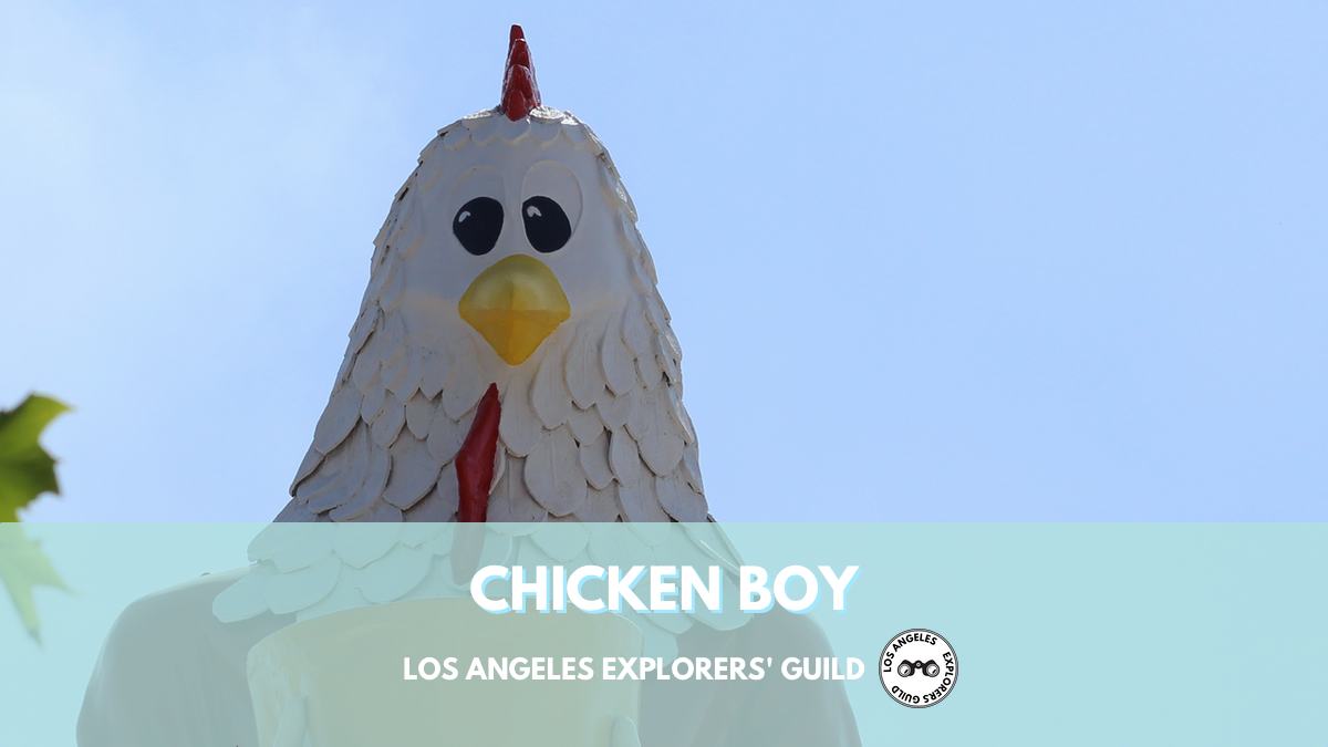 LAXG: Chicken Boy.