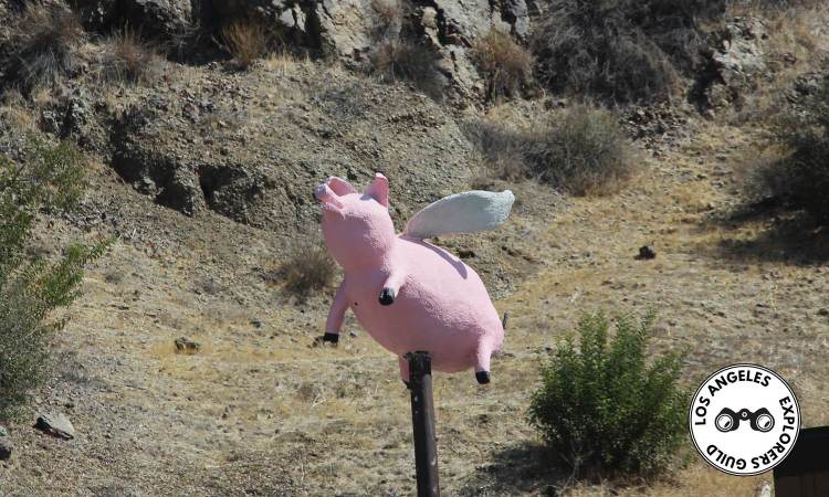LAXG: The Flying Pig of Topanga