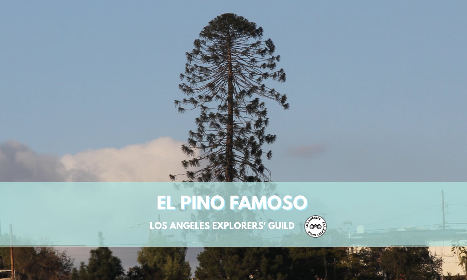 Los Angeles Explorers Guild visits El Pino Famoso
