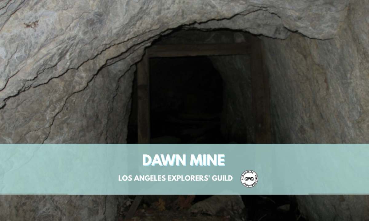The Dawn Mine