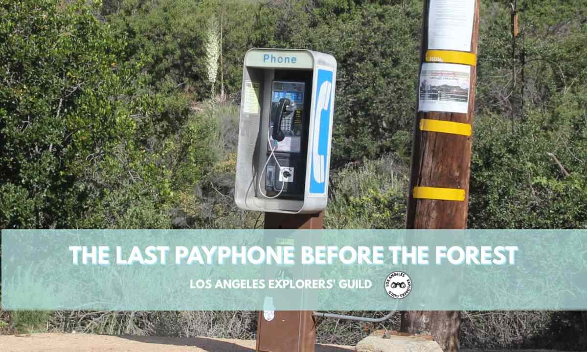 The Last Payphone Before the&nbsp;Forest