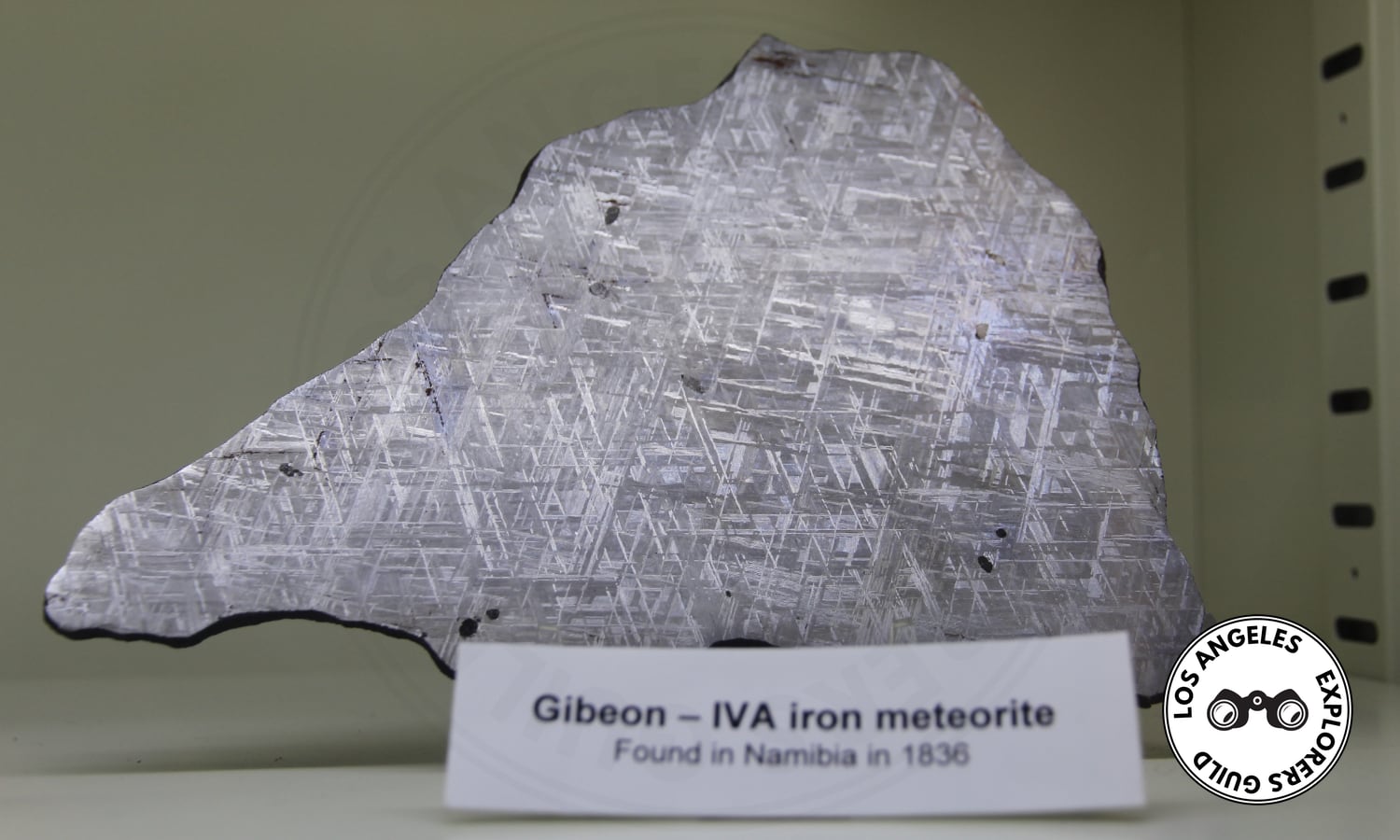 — Los Angeles Explorers Guild