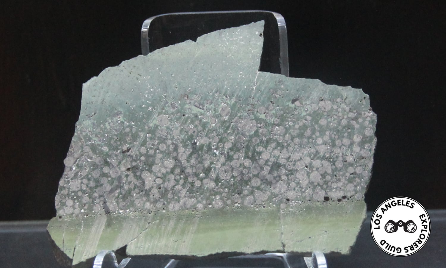 — Los Angeles Explorers Guild